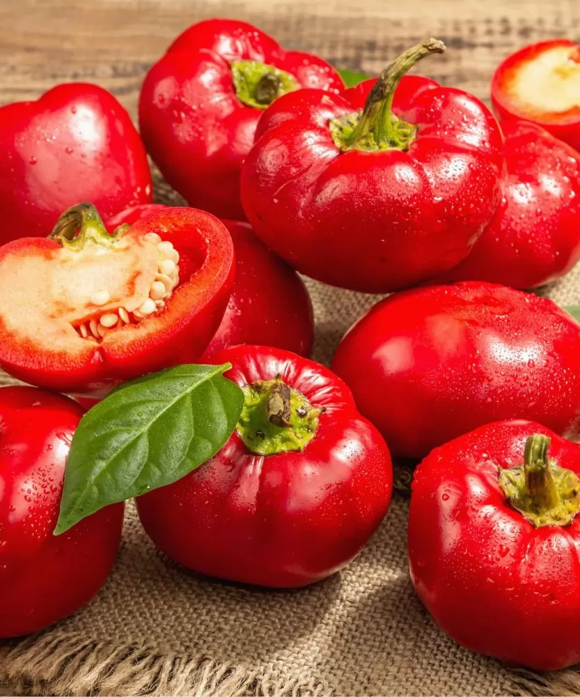 Foto Peperoni tondi Topepo 