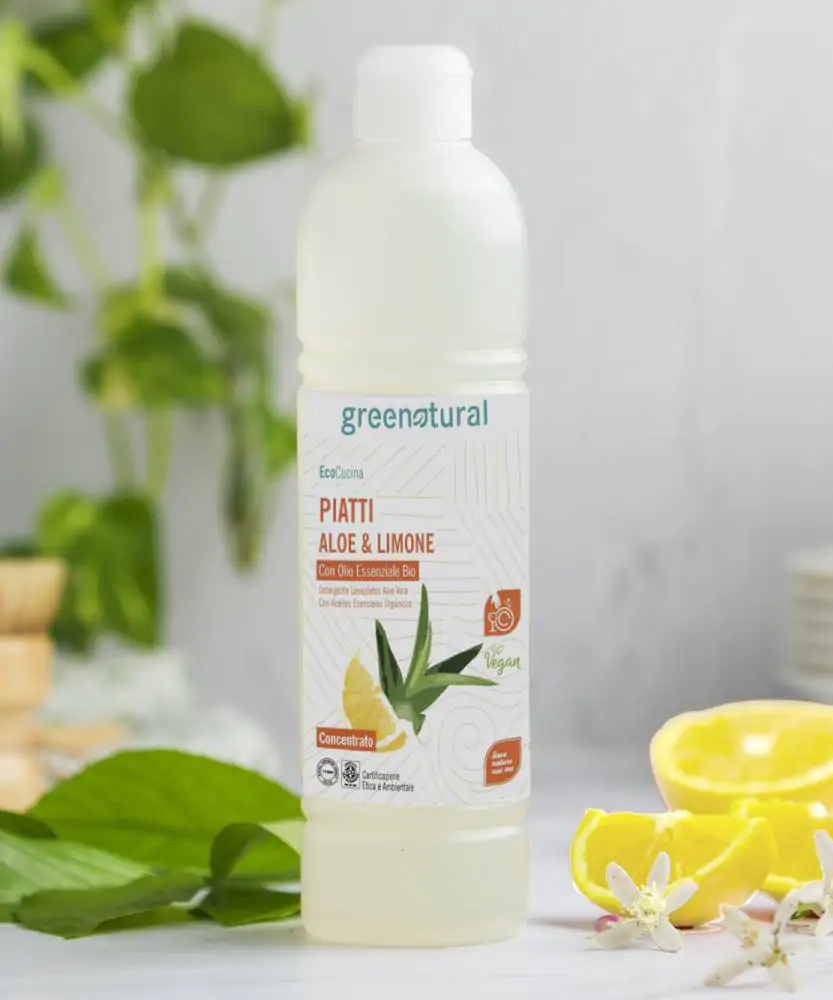 Foto Piatti aloe e limone ECO 