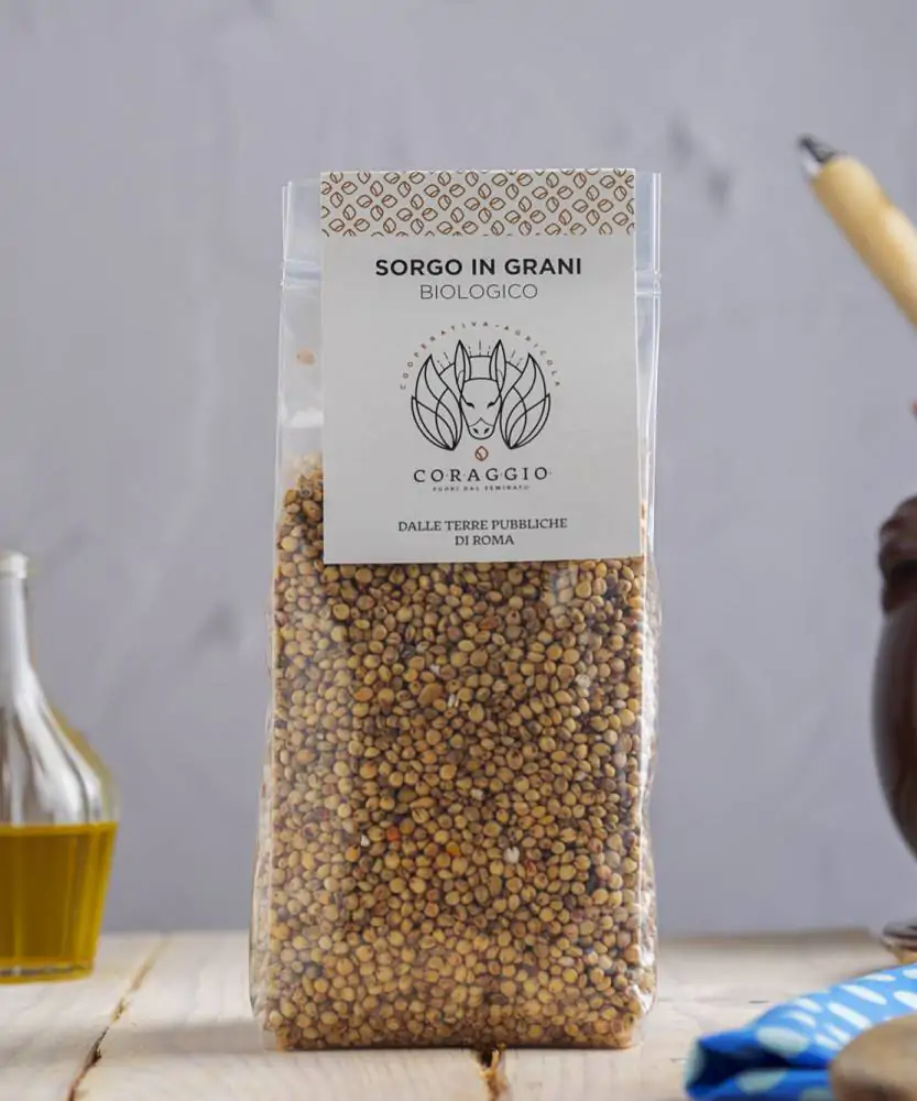 Foto Sorgo in grani BIO 