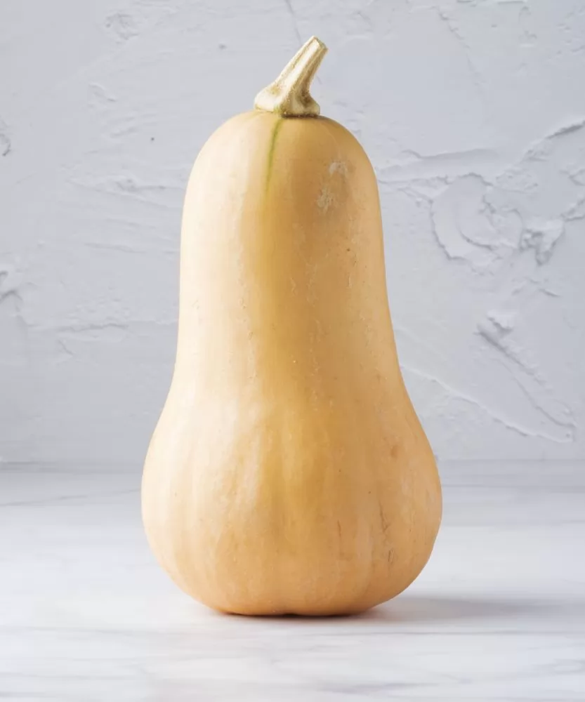 Foto Zucca Butternut BIO intera