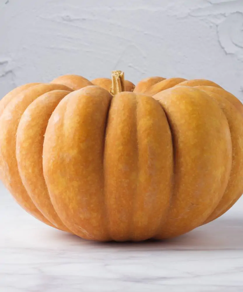 Foto Zucca moscata di Provenza BIO 